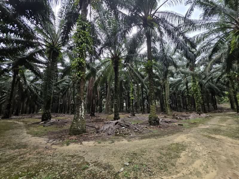 Tanah Perindustrian untuk Dijual di Kluang (Johor) - Janice Pang - Exterior - PropertyGuru.com.my