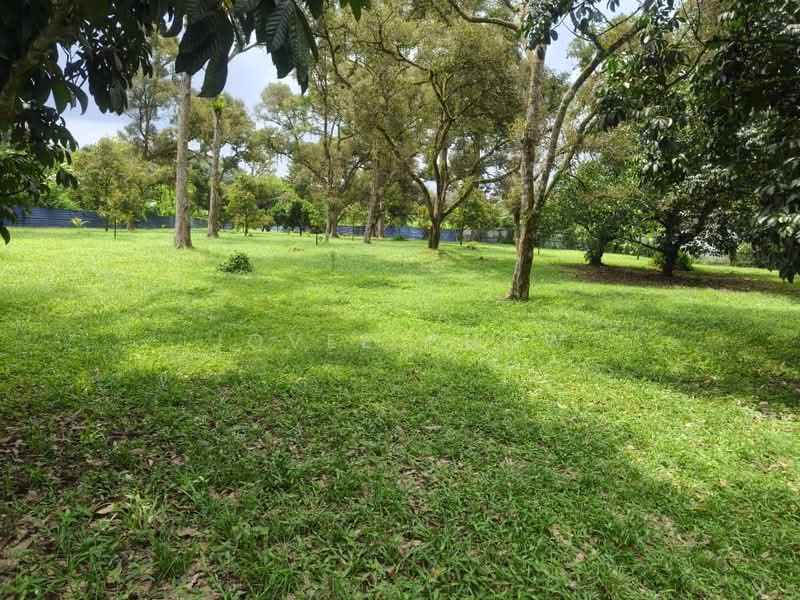Tanah Pertanian untuk Dijual di Batang Kali (Selangor) - Jovee Chow - Garden - PropertyGuru.com.my