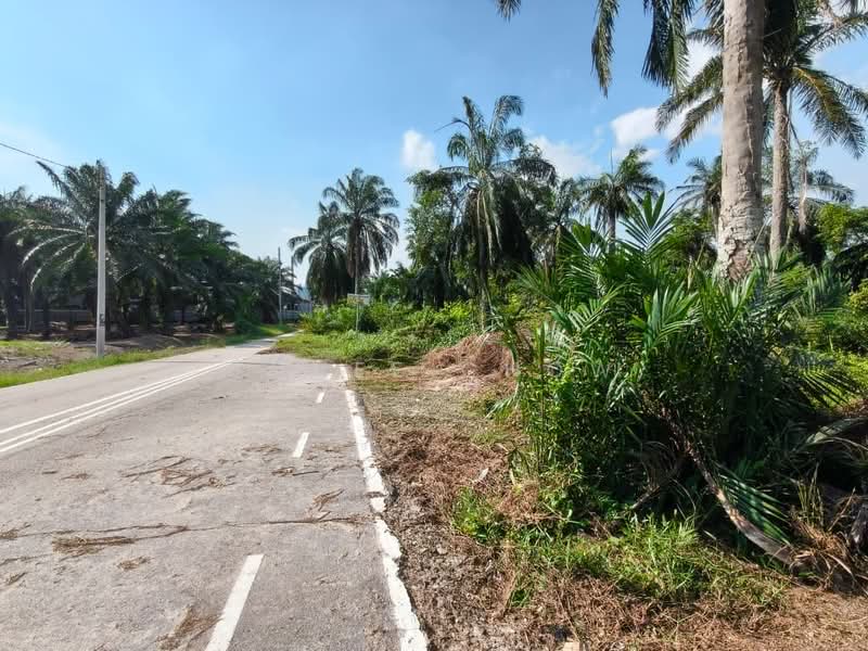 Agricultural Land for Sale in Jeram (Selangor) - Jovee Chow - Exterior - PropertyGuru.com.my