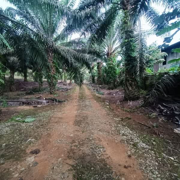Tanah Pertanian untuk Dijual di Kulai (Johor) - Janice Pang - Exterior - PropertyGuru.com.my