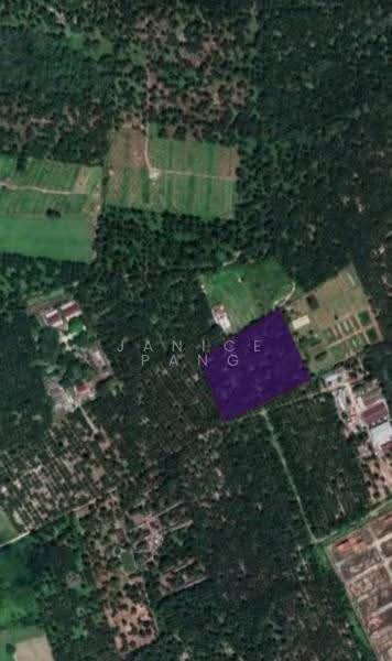 Agricultural Land for Sale in Pekan Nanas (Johor) - Janice Pang - PropertyGuru.com.my