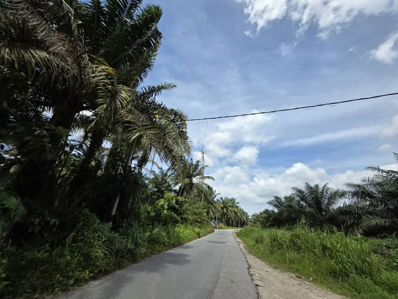 Agricultural Land for Sale in Pekan Nanas (Johor) - Janice Pang - Exterior - PropertyGuru.com.my