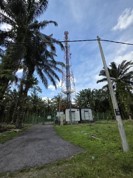 Agricultural Land for Sale in Pekan Nanas (Johor) - Janice Pang - Exterior - PropertyGuru.com.my