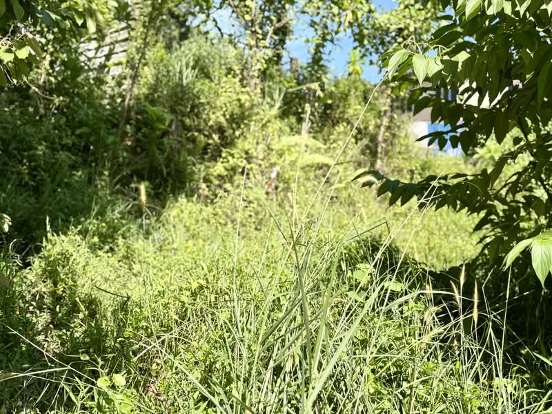Tanah Kediaman untuk Dijual di Kampung Sungai Bakau (Rawang) - Jennifer Yap - Exterior - PropertyGuru.com.my