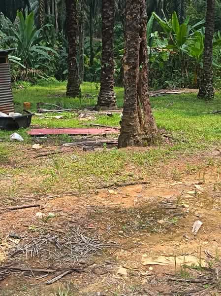 Agricultural Land for Sale in Kerling (Selangor) - Camie Hoo - Exterior - PropertyGuru.com.my