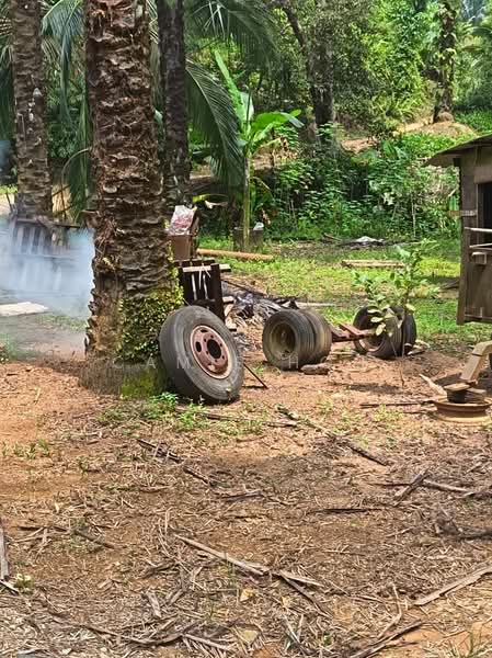 Agricultural Land for Sale in Kerling (Selangor) - Camie Hoo - Exterior - PropertyGuru.com.my