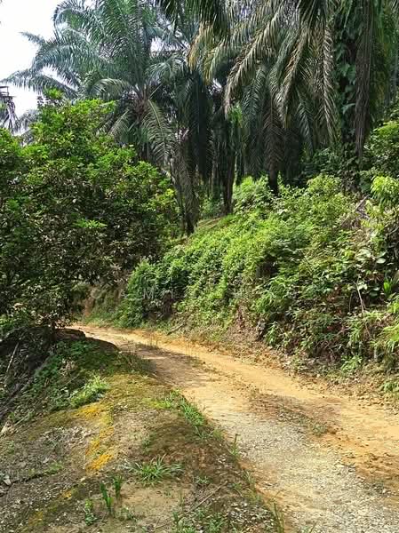 Agricultural Land for Sale in Kerling (Selangor) - Camie Hoo - Exterior - PropertyGuru.com.my