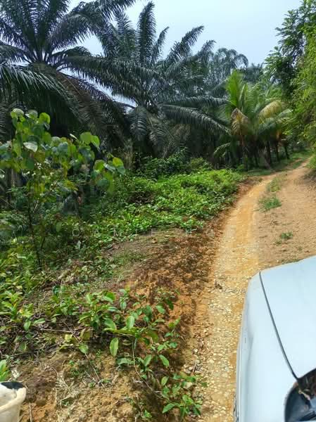 Agricultural Land for Sale in Kerling (Selangor) - Camie Hoo - Exterior - PropertyGuru.com.my