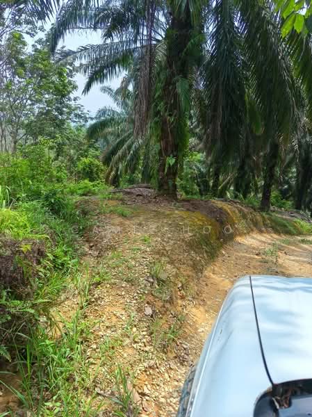 Agricultural Land for Sale in Kerling (Selangor) - Camie Hoo - Exterior - PropertyGuru.com.my