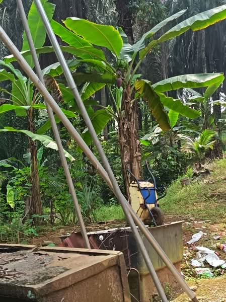Agricultural Land for Sale in Kerling (Selangor) - Camie Hoo - Exterior - PropertyGuru.com.my