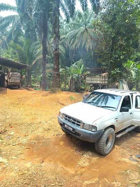 Agricultural Land for Sale in Kerling (Selangor) - Camie Hoo - Exterior - PropertyGuru.com.my
