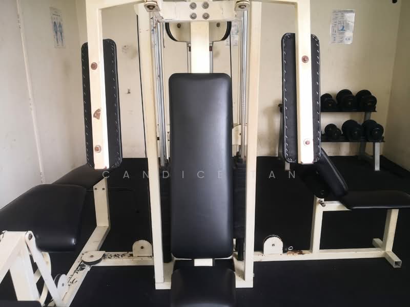 Kondominium untuk Dijual di Warisan City View - Candice Tan - Gym - PropertyGuru.com.my