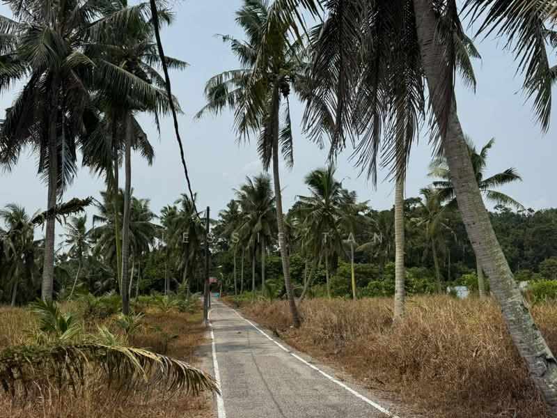 Agricultural Land for Sale in Tanjung Kupang (Iskandar Puteri (Nusajaya)) - Jessie Tan - Exterior - PropertyGuru.com.my