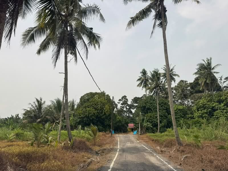 Agricultural Land for Sale in Tanjung Kupang (Iskandar Puteri (Nusajaya)) - Jessie Tan - Exterior - PropertyGuru.com.my