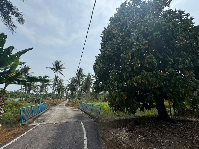 Agricultural Land for Sale in Tanjung Kupang (Iskandar Puteri (Nusajaya)) - Jessie Tan - Exterior - PropertyGuru.com.my