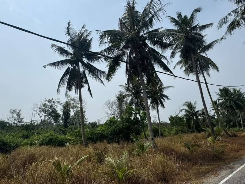 Agricultural Land for Sale in Tanjung Kupang (Iskandar Puteri (Nusajaya)) - Jessie Tan - Exterior - PropertyGuru.com.my