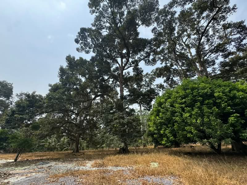 Agricultural Land for Sale in Tanjung Kupang (Iskandar Puteri (Nusajaya)) - Jessie Tan - Exterior - PropertyGuru.com.my
