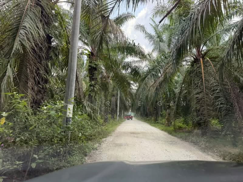 Agricultural Land for Sale in Ayer Tawar (Sitiawan) - Catherine Gan - Exterior - PropertyGuru.com.my