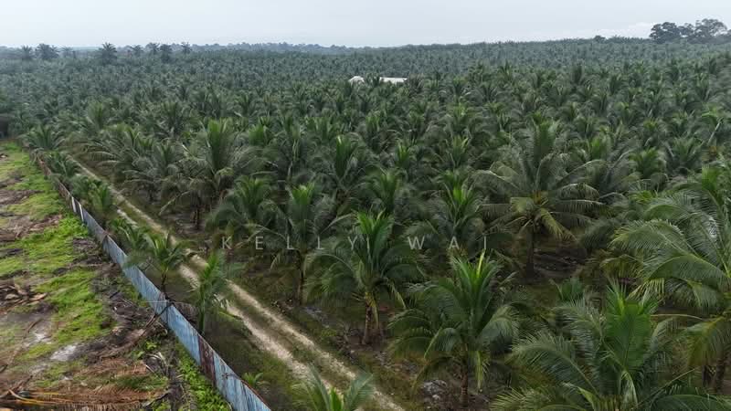 Agricultural Land for Sale in Simpang Renggam (Johor) - Kelly Wai - Exterior - PropertyGuru.com.my