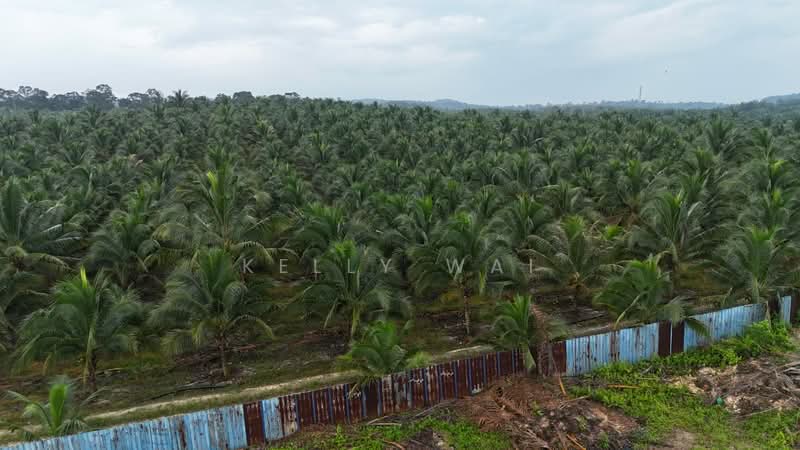 Agricultural Land for Sale in Simpang Renggam (Johor) - Kelly Wai - Exterior - PropertyGuru.com.my