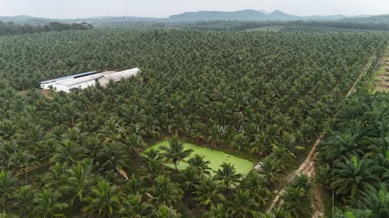 Agricultural Land for Sale in Simpang Renggam (Johor) - Kelly Wai - Exterior - PropertyGuru.com.my