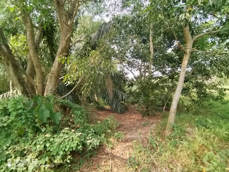 Agricultural Land for Sale in Seri Manjung (Perak) - Abdul Razak - Garden - PropertyGuru.com.my