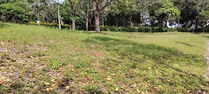 Residential Land for Sale in Leisure Farm (Gelang Patah) - Wenting Lee - Garden - PropertyGuru.com.my