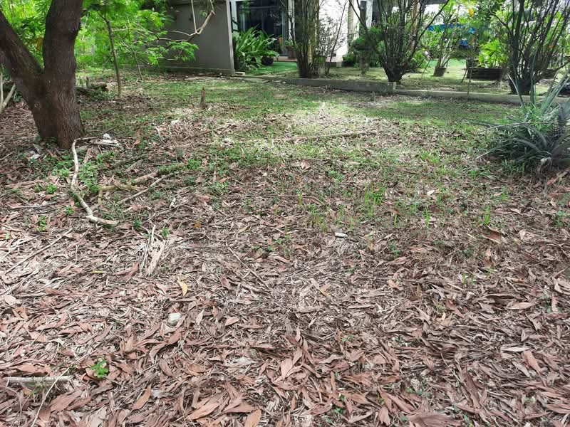 Bungalow Land for Sale in Perdana Lakeview East (Cyberjaya) - Rose Tan - Garden - PropertyGuru.com.my