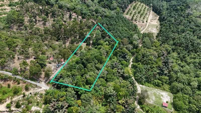 Agricultural Land for Sale in Kampung Melang (Kuala Pilah) - Hawa Ibrahim - Exterior - PropertyGuru.com.my
