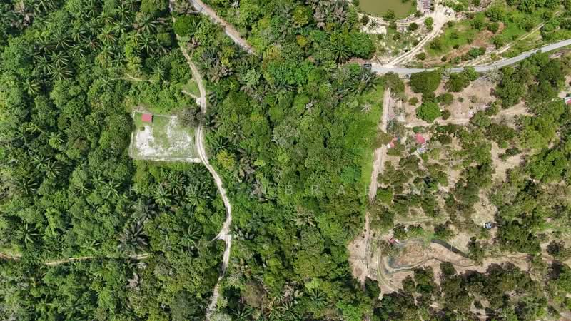 Agricultural Land for Sale in Kampung Melang (Kuala Pilah) - Hawa Ibrahim - Exterior - PropertyGuru.com.my