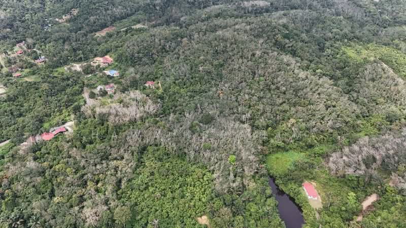 Agricultural Land for Sale in Kampung Melang (Kuala Pilah) - Hawa Ibrahim - Exterior - PropertyGuru.com.my