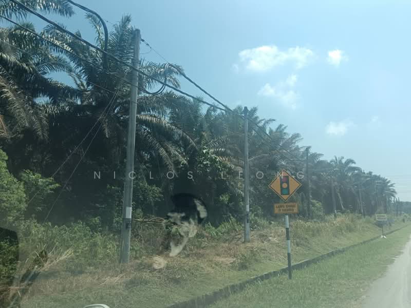 Agricultural Land for Sale in Bidor Raya (Bidor) - Niclos Leong - PropertyGuru.com.my