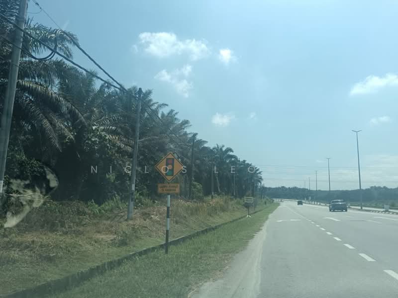 Agricultural Land for Sale in Bidor Raya (Bidor) - Niclos Leong - PropertyGuru.com.my
