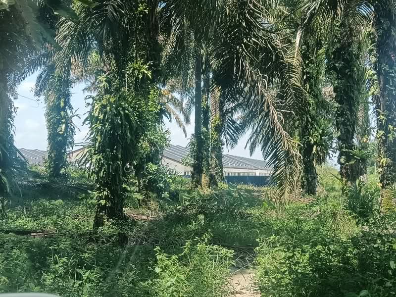 Agricultural Land for Sale in Bidor Raya (Bidor) - Niclos Leong - PropertyGuru.com.my