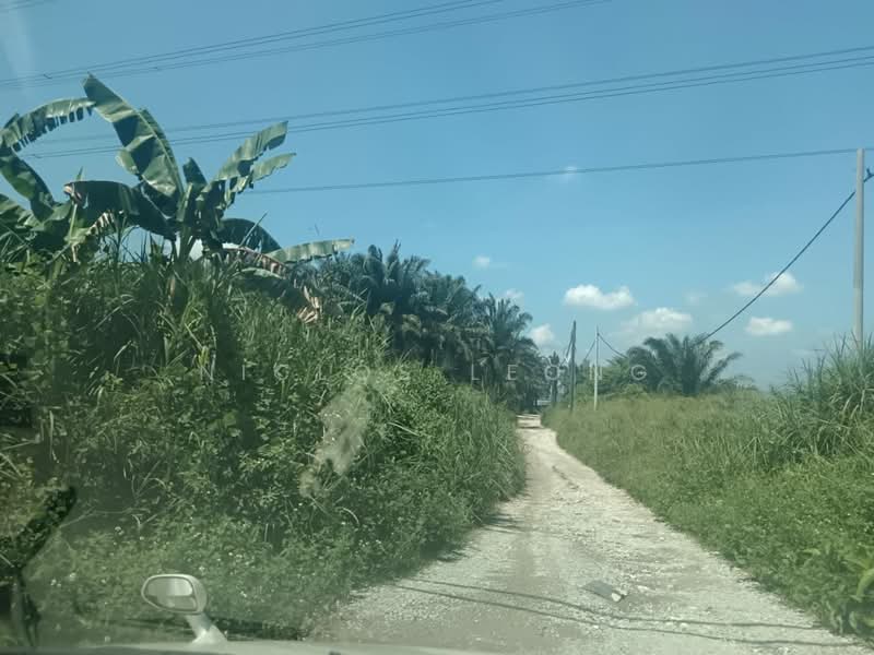 Agricultural Land for Sale in Bidor Raya (Bidor) - Niclos Leong - PropertyGuru.com.my