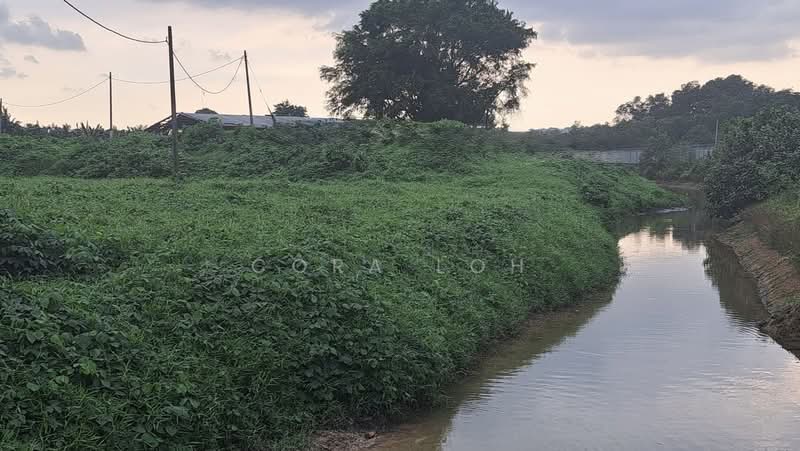 Tanah Pertanian untuk Dijual di Kampung Pasir Putih (Pasir Gudang) - Cora Loh - PropertyGuru.com.my