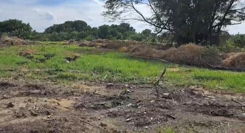 Tanah Pertanian untuk Dijual di Kampung Pasir Putih (Pasir Gudang) - Cora Loh - PropertyGuru.com.my