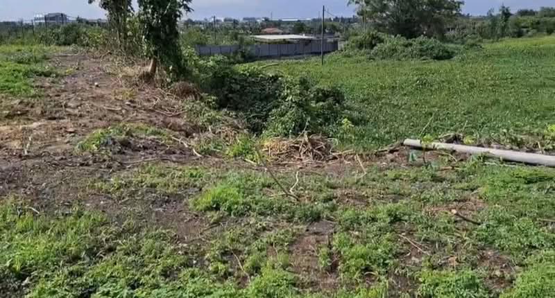 Tanah Pertanian untuk Dijual di Kampung Pasir Putih (Pasir Gudang) - Cora Loh - PropertyGuru.com.my