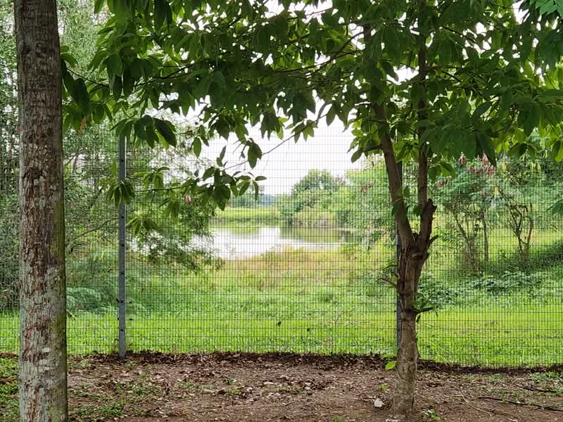 Rumah Teres 2-Tingkat untuk Dijual di Bandar Rimbayu (Telok Panglima Garang) - Krystin Lim - PropertyGuru.com.my