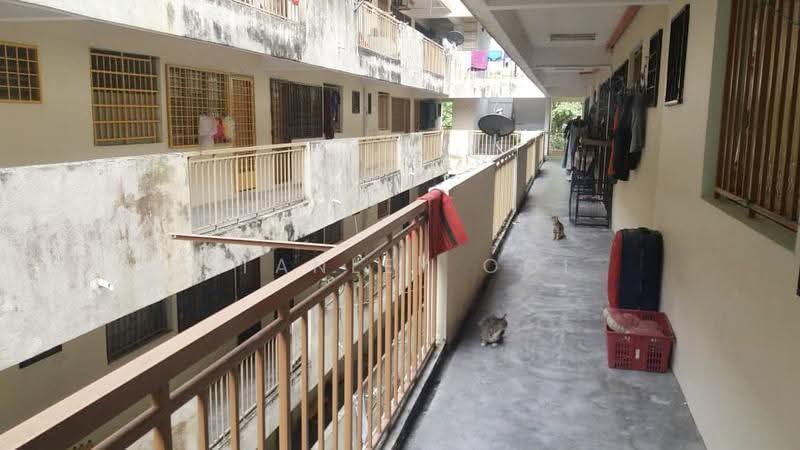 Rumah Flat untuk Disewa di Rumah Pangsa Segar Perdana - Stanley Ooi - Corridor - PropertyGuru.com.my