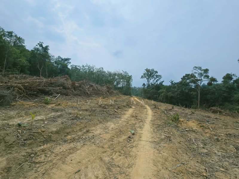 Agricultural Land for Sale in Kuala Kangsar (Perak) - Ivan Tai - PropertyGuru.com.my