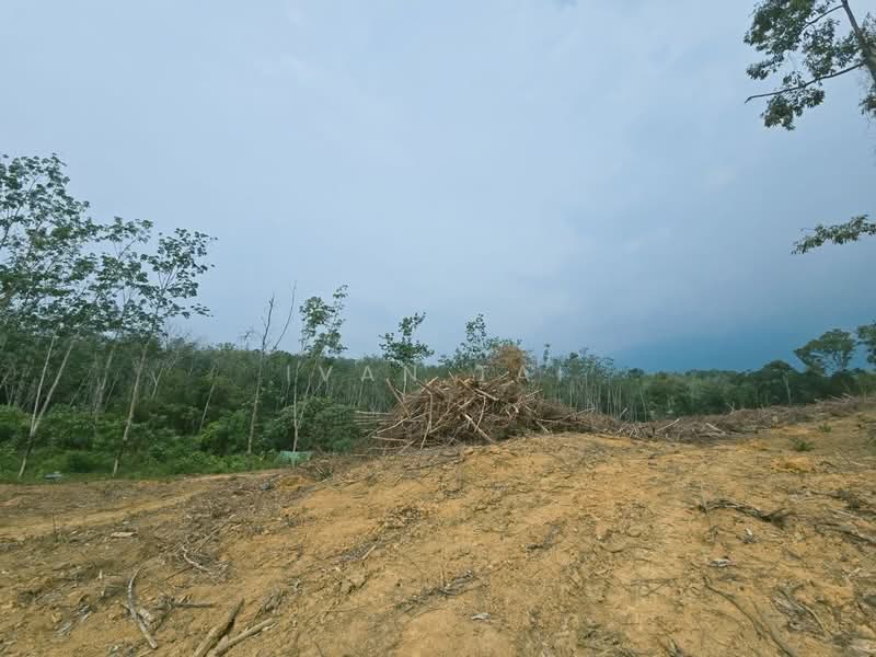 Agricultural Land for Sale in Kuala Kangsar (Perak) - Ivan Tai - PropertyGuru.com.my