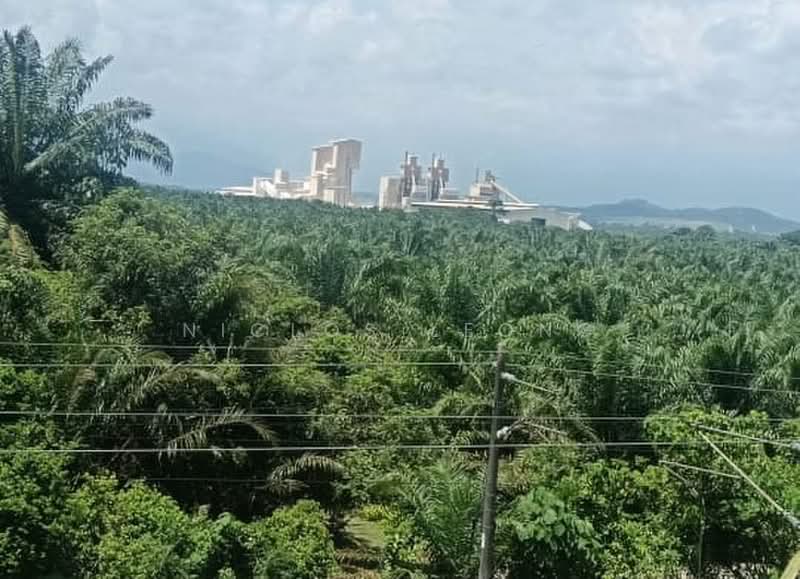 Tanah Pertanian untuk Dijual di Temoh (Gopeng) - Niclos Leong - PropertyGuru.com.my