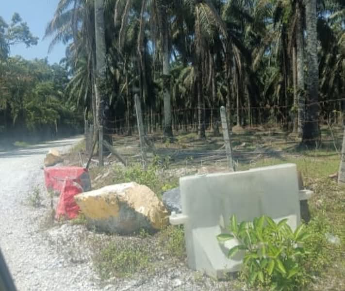 Tanah Pertanian untuk Dijual di Temoh (Gopeng) - Niclos Leong - PropertyGuru.com.my