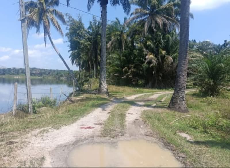Tanah Pertanian untuk Dijual di Temoh (Gopeng) - Niclos Leong - PropertyGuru.com.my