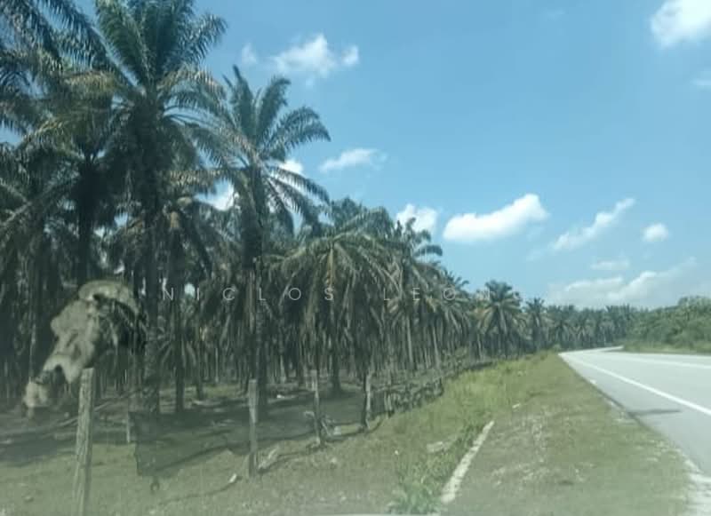 Tanah Pertanian untuk Dijual di Temoh (Gopeng) - Niclos Leong - PropertyGuru.com.my