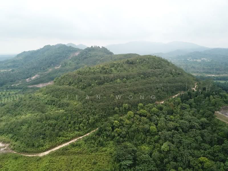 Hotel / Resort for Sale in Pontian (Johor) - Jean Wong - PropertyGuru.com.my
