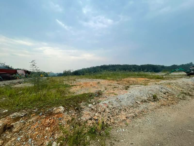 Tanah Pertanian untuk Disewa di Kampung Baru Seelong (Senai) - Thea Lai - PropertyGuru.com.my