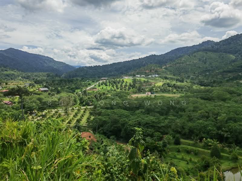 Tanah Pertanian untuk Dijual di Bentong (Pahang) - SHI YONG WONG - Garden - PropertyGuru.com.my