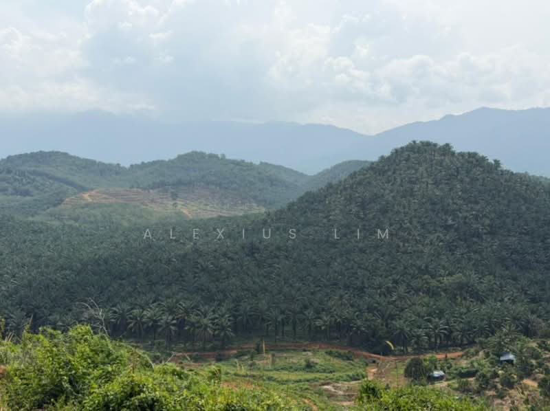 Tanah Pertanian untuk Dijual di Linggi (Negeri Sembilan) - Alexius Lim - Exterior - PropertyGuru.com.my